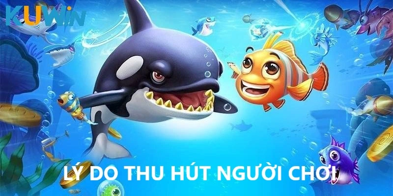 Lý do hút hồn người chơi